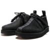 Clarks x Neighborhood Desert Trek GTX «Black» 26167086