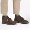 Desert Boot Evo for menn, mørkebrun ruskind, chukka