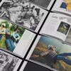 Fra Somerset til verden: clarks – en visuell historiebok 1825–2025